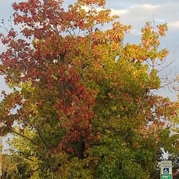 Meet your Posher, Edward - Picture 1 of 1